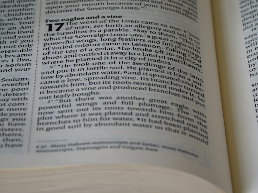 Photo Keyword research