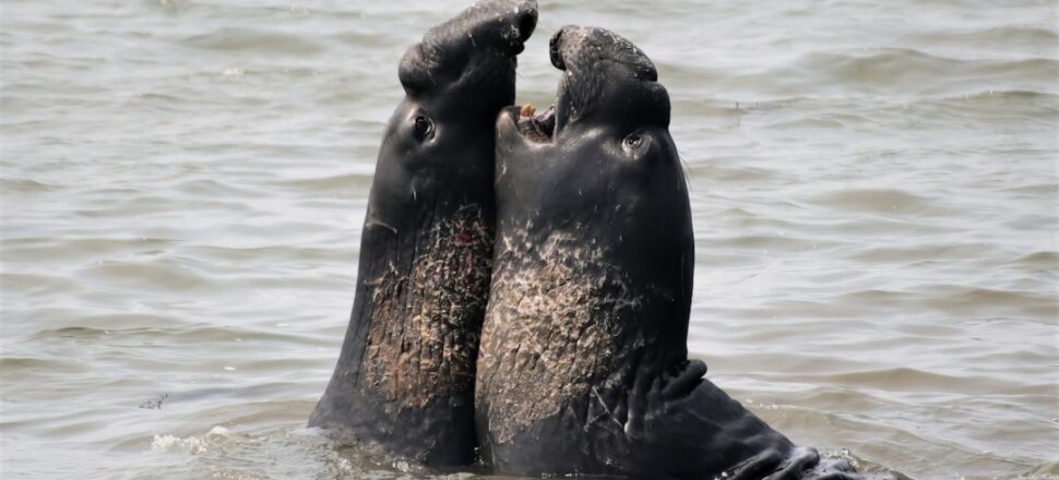 photo-1617071518327-f5d2f955fa0f photo-1617071518327-f5d2f955fa0f